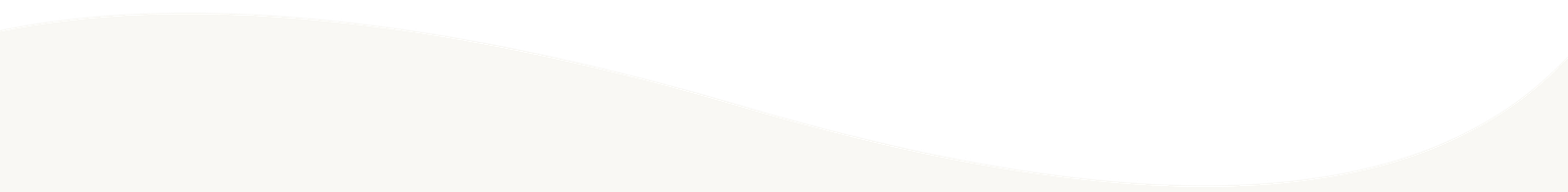 Section Border 2 Scaled
